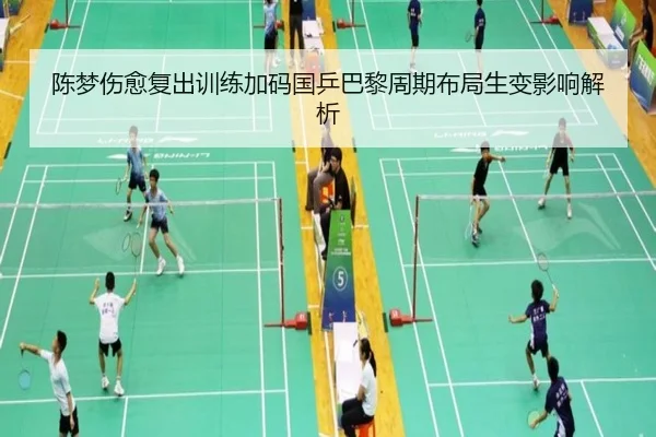 陈梦伤愈复出训练加码国乒巴黎周期布局生变影响解析 - RAYESPORTS